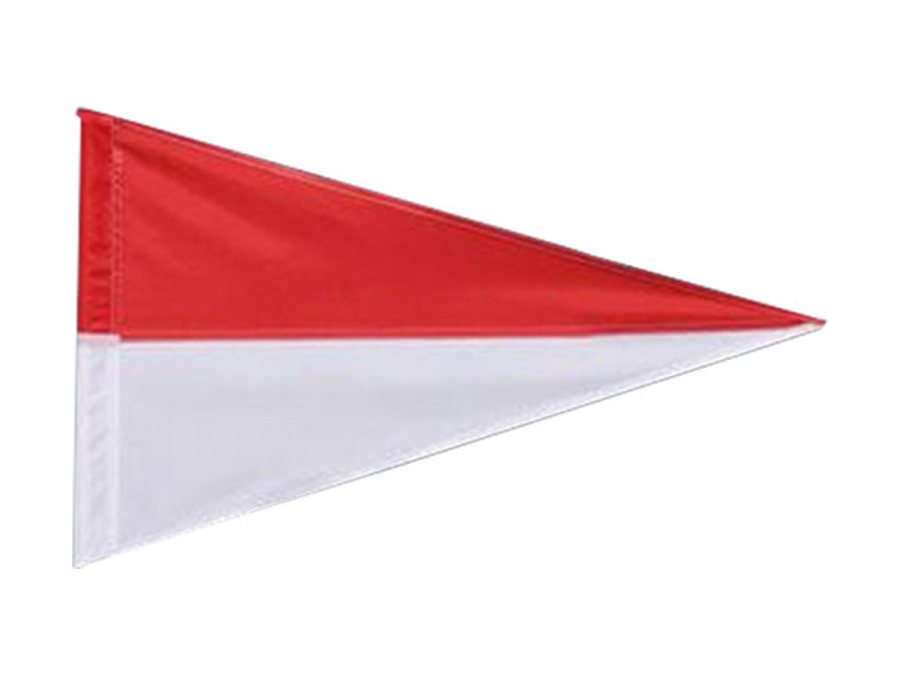 Pennant flag and pole